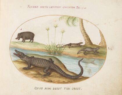 A Crocodile, a Hippopotomus, a Land Crocodile or Tegu Lizard, and a Crocodile or Spiny-Tailed Lizard with a Papyrus Plant (1575-1590)