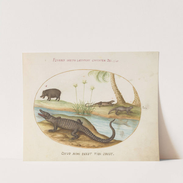 A Crocodile, a Hippopotomus, a Land Crocodile or Tegu Lizard, and a Crocodile or Spiny-Tailed Lizard with a Papyrus Plant (1575-1590) by Joris Hoefnagel