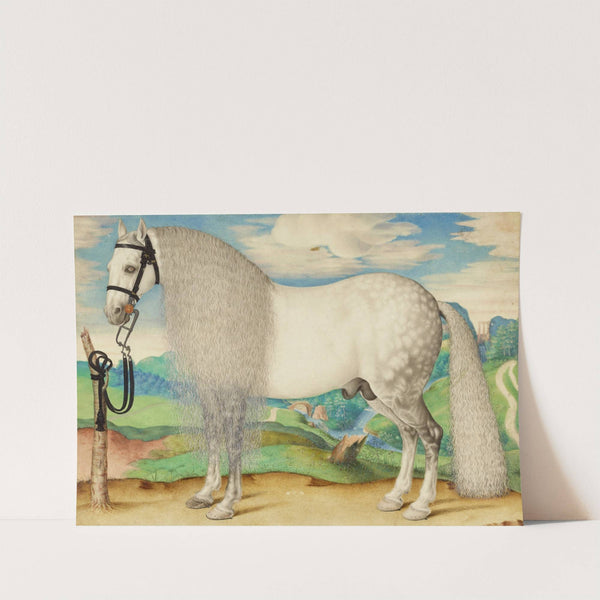 A Dappled Gray Stallion Tethered in a Landscape by Prague School