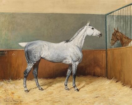 A Dappled-Grey Horse