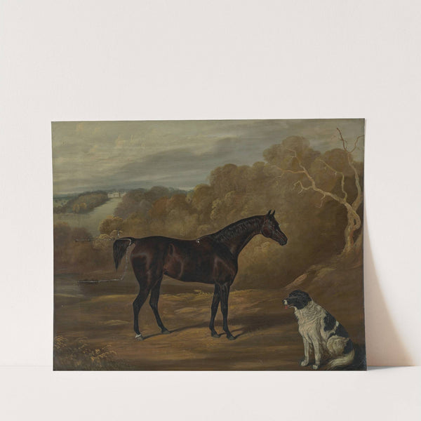 A dark bay hunter and a seated spaniel in the park at Harewood House by David Dalby Of York