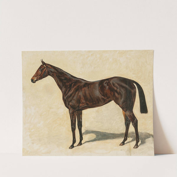 A Dark Brown Thoroughbred Mare by Emil Adam