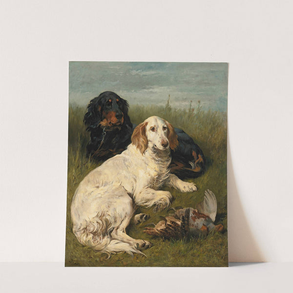 A Day's Bag by John Emms