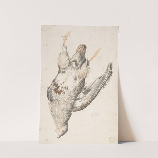 A Dead Bird Seen from Below by Count Giorgio Durante