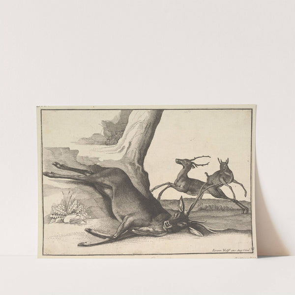 A dead stag (1647) by Wenceslaus Hollar