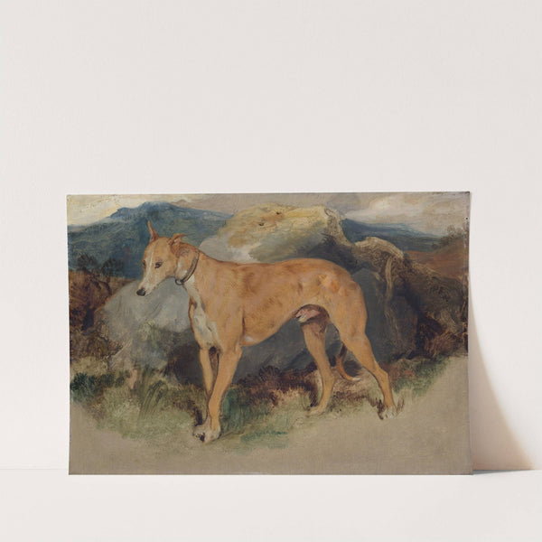 A Deerhound by Sir Edwin Henry Landseer