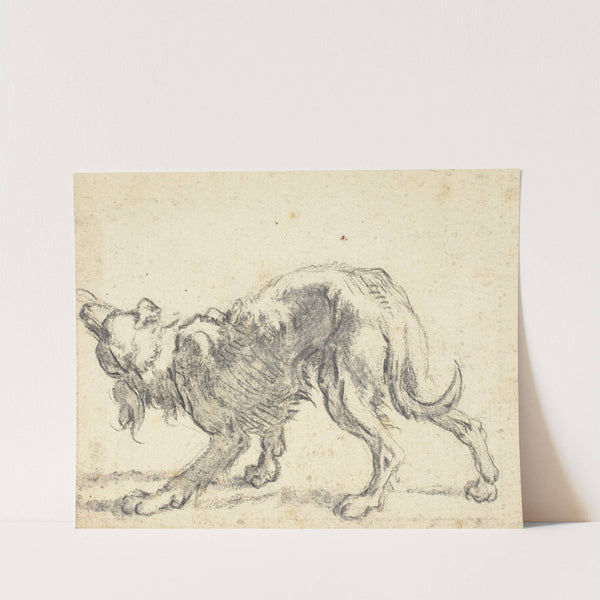 A Dog (1660s) by Cornelis Saftleven