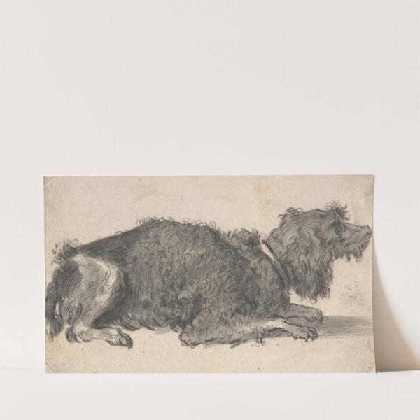 A Dog (17th century) by Cornelis Saftleven