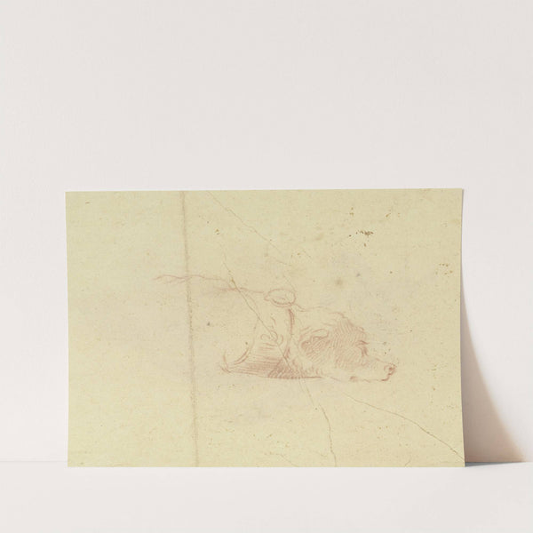 A dog’s head by Johann Heinrich Roos