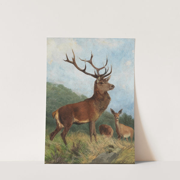 A Dominant Stag by Carl Friedrich Deiker