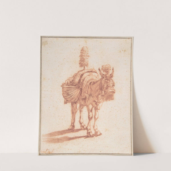A Donkey (mid-17th century) by Adriaen van de Velde
