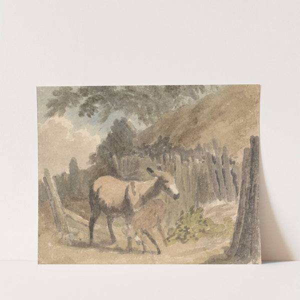 A Donkey and Foal by Robert Hills