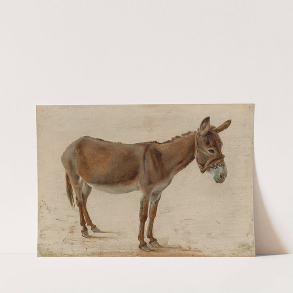 A Donkey by Jacques-Laurent Agasse