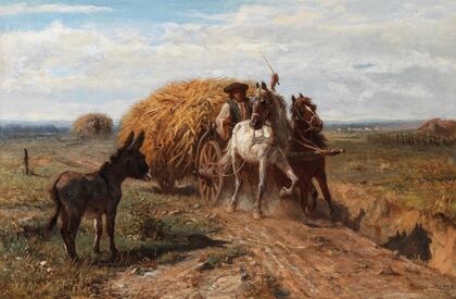 A Donkey on a Country Road