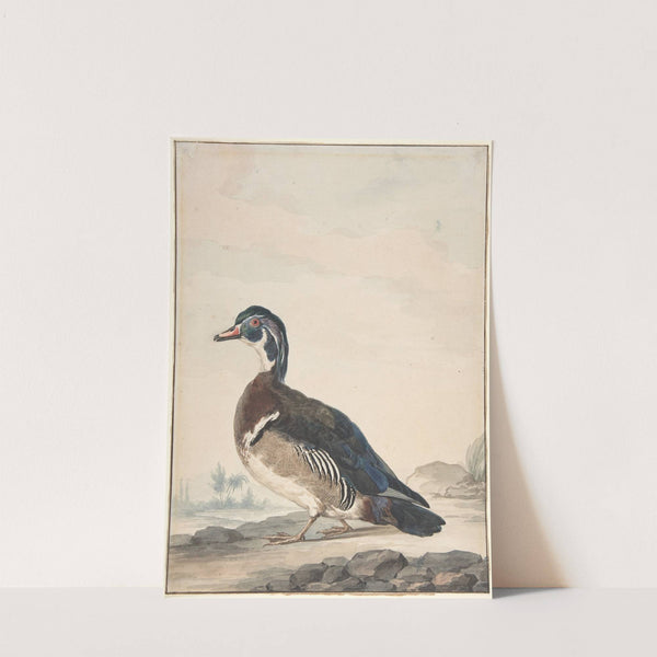 A Duck (1725–92) by Aert Schouman