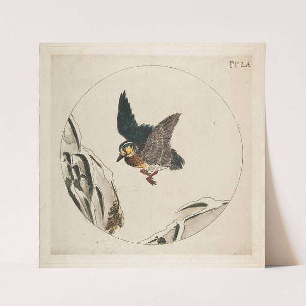 A Duck flying over Snow-covered Branches (1850–1914) by Félix Bracquemond