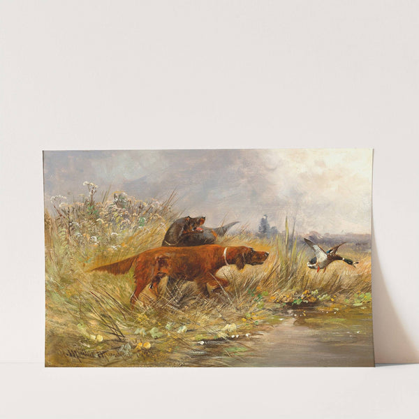 A Duck Hunt (1909) by Moritz Müller