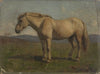 A Dun Horse (1848)