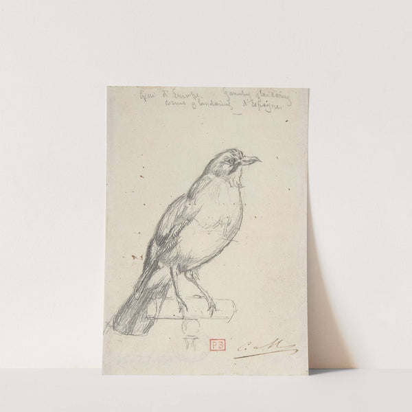 A European Jay (ca. 1863) by Charles Meryon