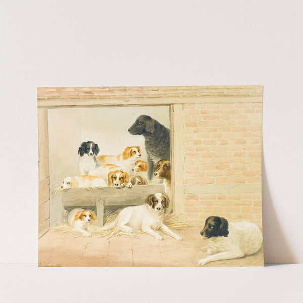 A Family Of Dogs by S. Evans