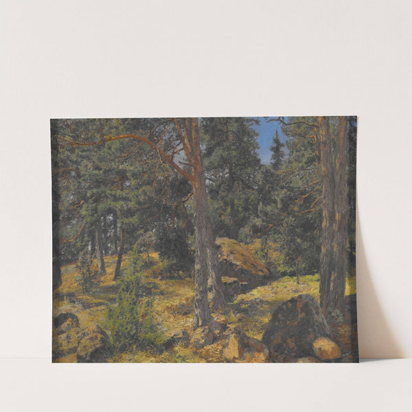 A Fir Bank by Gottfrid Samuel Nickolaus Kallsteniüs