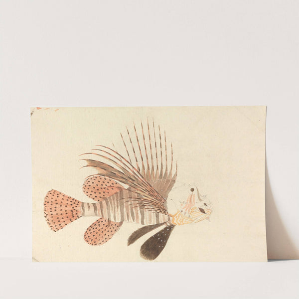 A Fish by Luigi Balugani