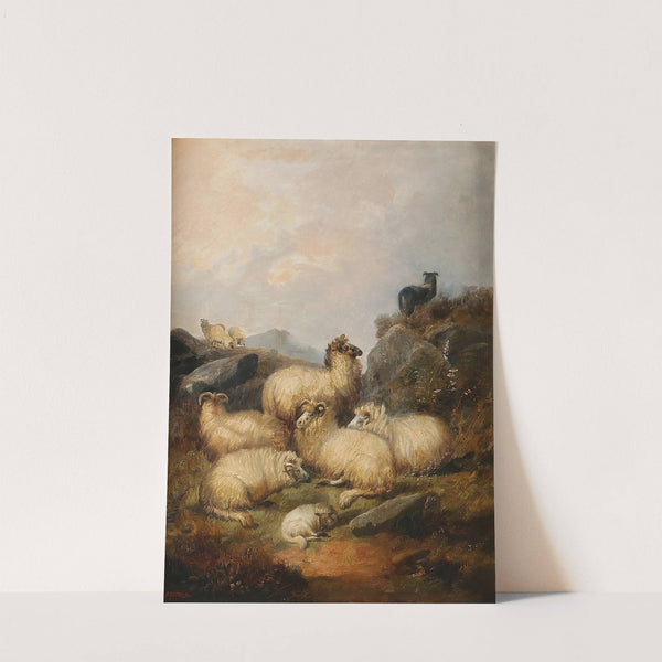 A flock of sheep in the Scottish Highlands (1881) by Alfred Morris