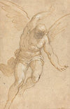 A Flying Angel