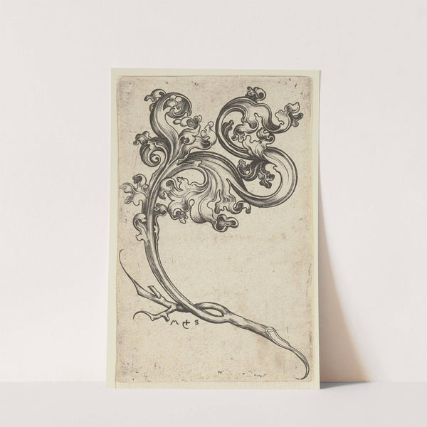 A Foliage Ornament by Martin Schongauer