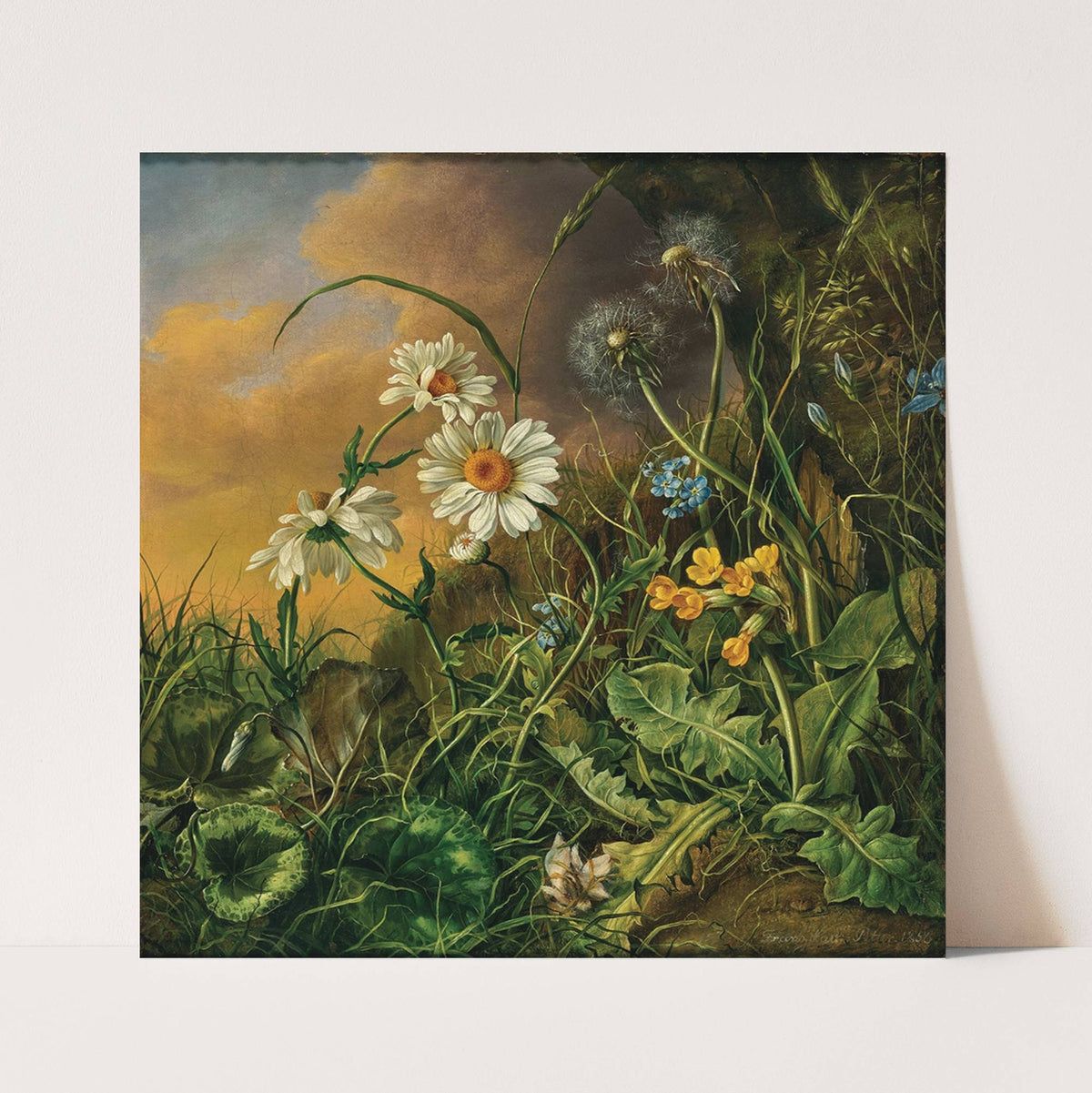 A Forest Floor with Daisies, Primroses and Dandelions (1858) by Franz Xaver Petter