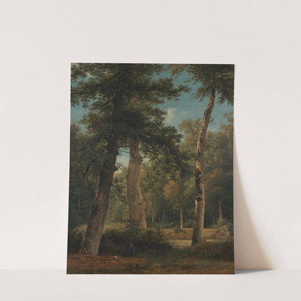 A forest in Fontainebleau by Georgius Jacobus Johannes van Os