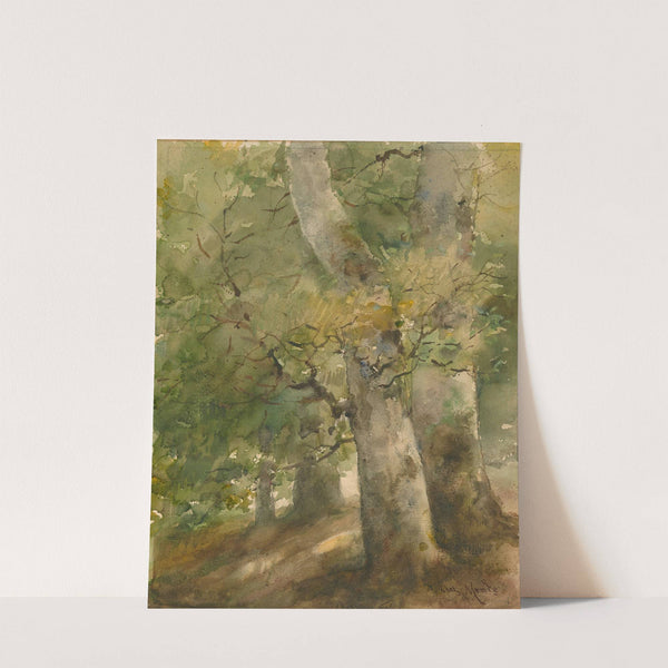 A Forest Scene by Charles Mente