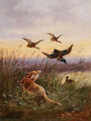 A Fox Hunting Ducks (1893)