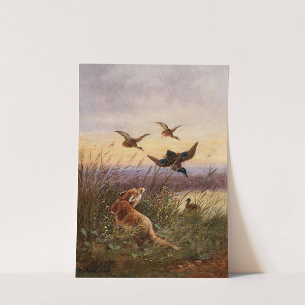 A Fox Hunting Ducks (1893) by Moritz Müller