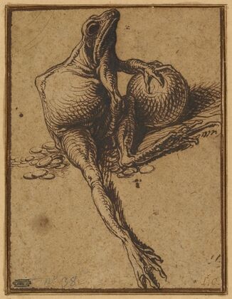 A Frog Sitting on Coins and Holding a Sphere; Allegory of Avarice (1609)