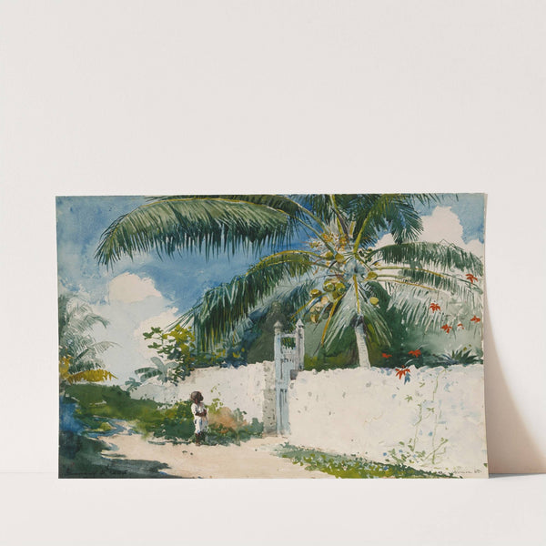A Garden in Nassau by Winslow Homer