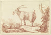 A goat to the left