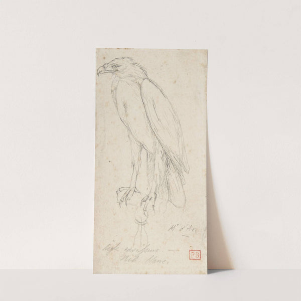 A Golden Eagle (after 1859) by Charles Meryon