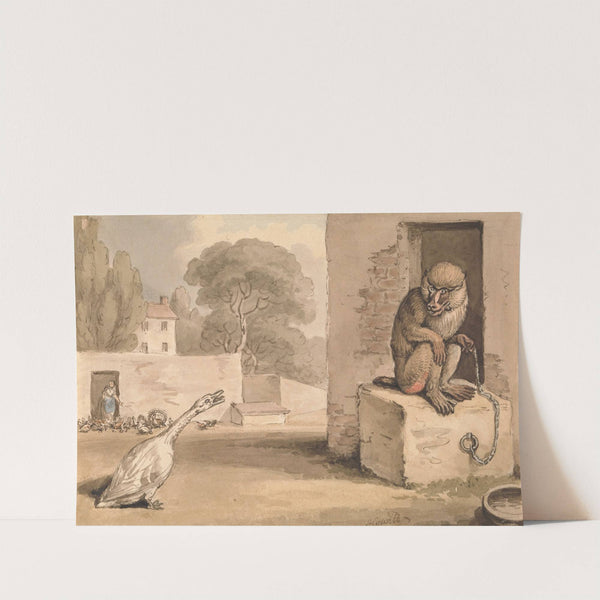 A Goose and a Baboon by Samuel Howitt