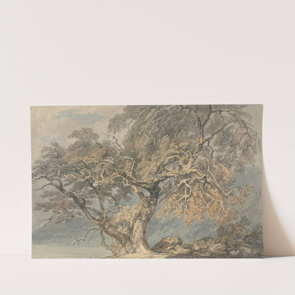 A Great Tree (ca. 1796) by Joseph Mallord William Turner
