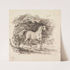 A Grey Horse Trotting Out of a Wood by Sir Francis Grant