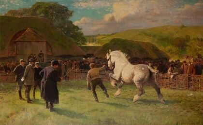 A grey mare