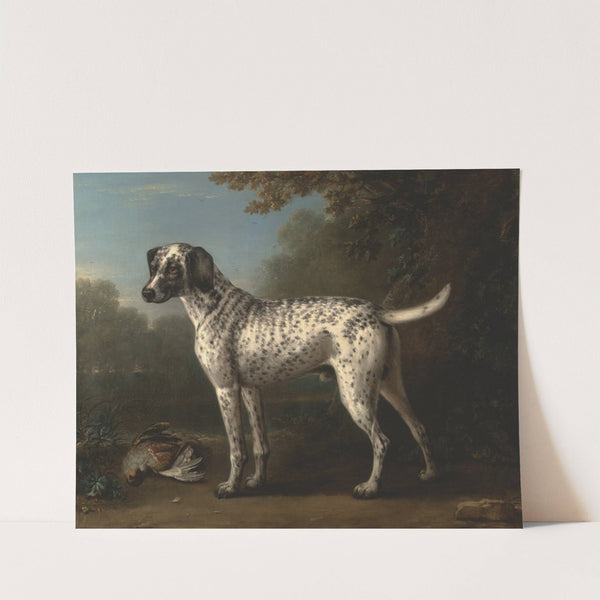 A Grey Spotted Hound by John Wootton