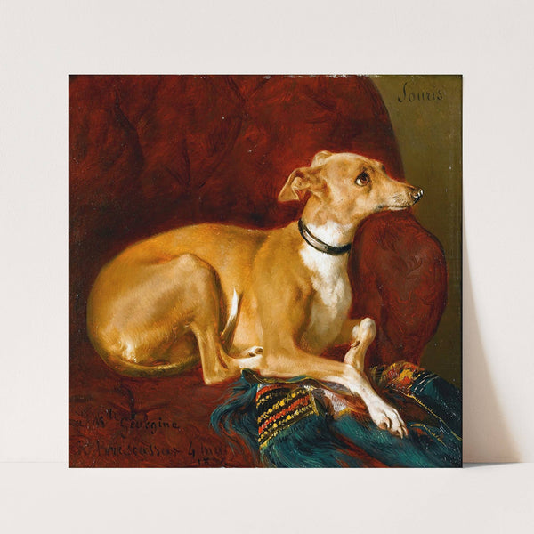 A Greyhound Resting On A Chair (1836) by Jacques-Raymond Brascassat