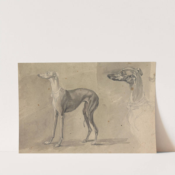 A Greyhound by Sawrey Gilpin