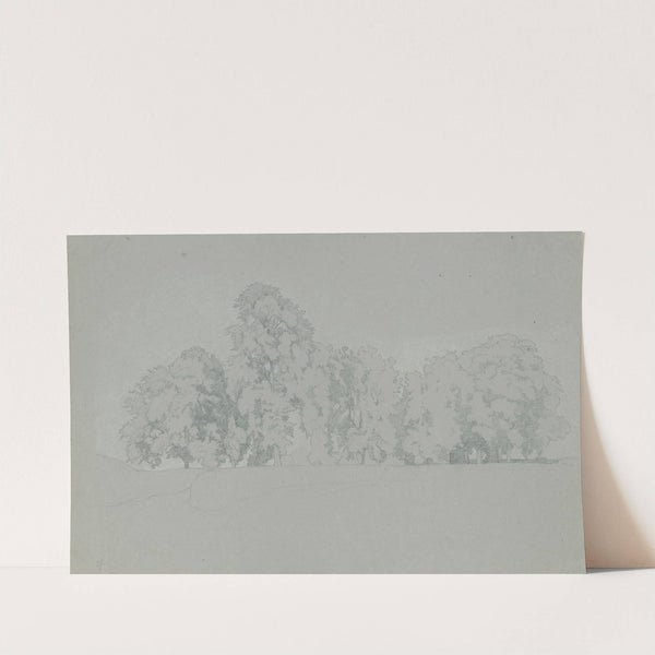 A grove by Johann Wilhelm Schirmer