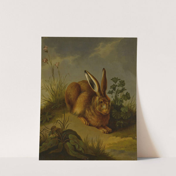 A hare among plants and grasses by German School
