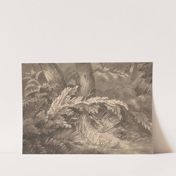 A Hare at the Edge of the Wood by Samuel Howitt