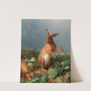A Hare in the Field by August Heyn