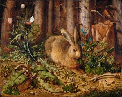 A Hare in the Forest
